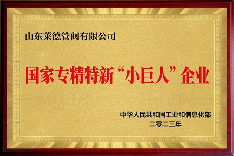 山東萊德管閥有限公司榮膺國家級專精特新“小巨人”企業